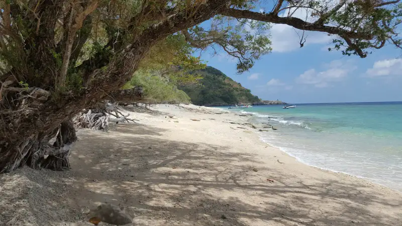 Bãi biển Hòn Cau - ảnh 5